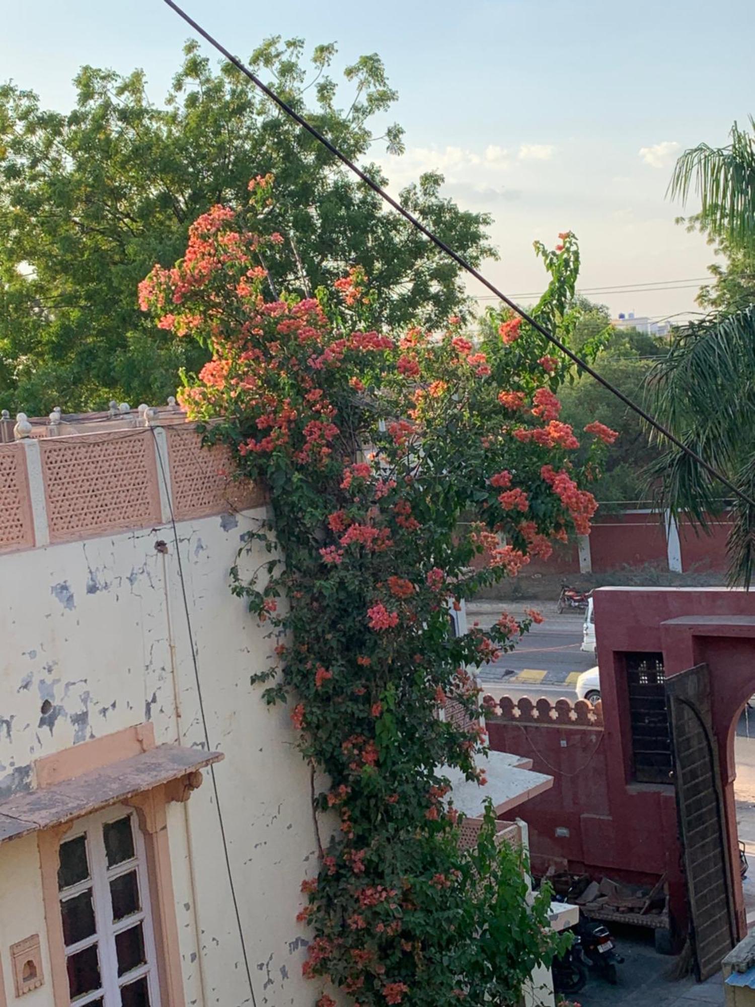 Kishan Palace-A Heritage Hotel Bikaner Ngoại thất bức ảnh